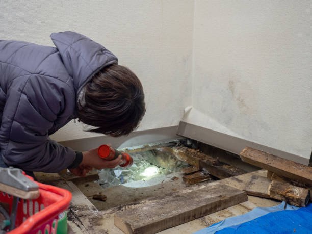 Best Real Estate Mold Inspection  in Tanaina, AK