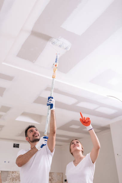 Mold Odor Removal Services in Tanaina, AK