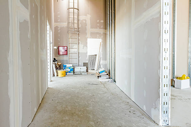 Best Mold Remediation for Healthcare Facilities  in Tanaina, AK