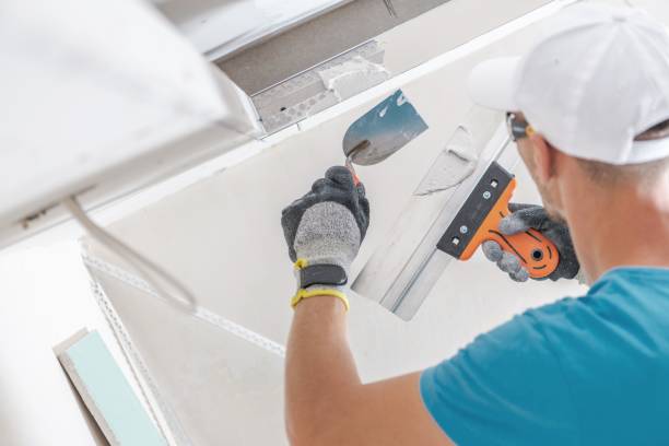 Best Comprehensive Air Testing for Mold Contaminants  in Tanaina, AK